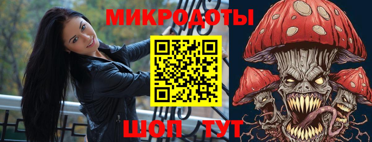 Галлюциногенные грибы Psilocybine cubensis  Вход с VPN  купить   Сокол  Галлюциногенные грибы Psilocybine cubensis 